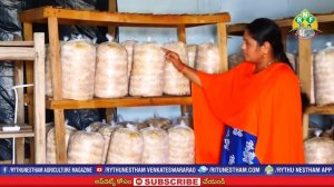 Mushroom Farming- Earning Monthly 1 Lakh Net Income | Sri Lakshmi |