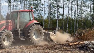Наша Valtra T235 возвращает поля в сельхозоборот после 30 лет простоя.. Все заросло, начали с лесоп
