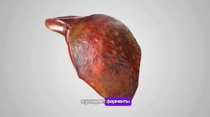 Что будет если есть Гвоздику каждый день?