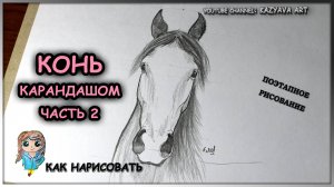 Штрихую голову лошади. Часть 2. Как нарисовать голову лошади в анфас карандашом