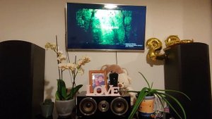 Harman kardon AVR 365 subwoofer TS7/230