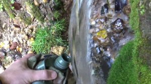 Поездка на Святой источник д. Ревякино