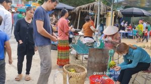 Robert sold a lot of melons at an outdoor market. Green forest life (ep203)