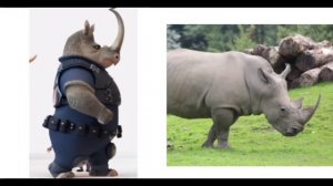 ZOOTOPIA Characters In Real Life| ALL| Zootopia IN REAL LIFE 🐇 #judyhopps #nick #zootopia