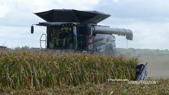 Fendt Ideal 9T Combine harvesting corn | Corn Harvest 2023