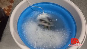 HOW TO USE | ULTRASONIC TURBINE WASH | Portable Washing Machine | Easy to Use