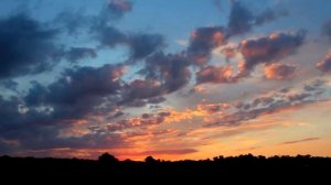 Alexi Murdoch – All My Days