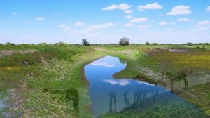 Астраханский фотоколлаж