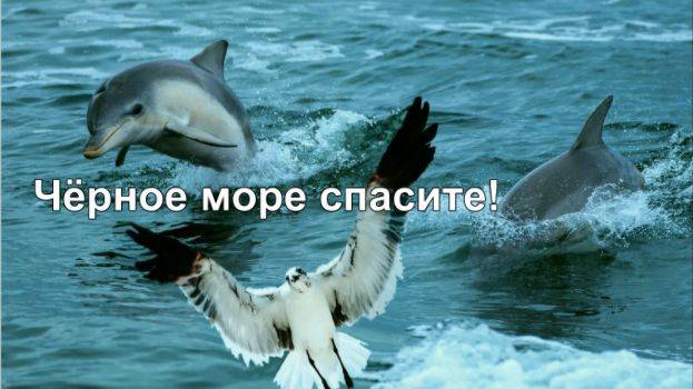 Черное море спасите!
