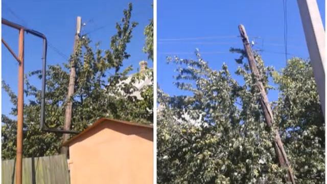 Упавшее дерево смотреть онлайн