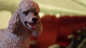 " С первого шага начинаются пути " Шляйх сериал про собак // 8 серия