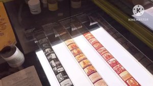 Российская  государственная детская библиотека