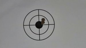 Die CZ 600 Ergo in .308