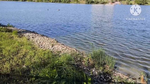 ФлоридаЯлта.На границе не могли сразу сказать куда едут,на сколько дней и что с собой везут