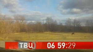 Часы ТВЦ (2018 н.в) в Косичи