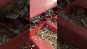 Прессподборщик Тукан