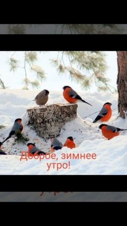 доброе утро