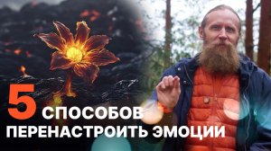 5 способов преобразовать негативные эмоции в позитивные. Иммунитет к трудностям.