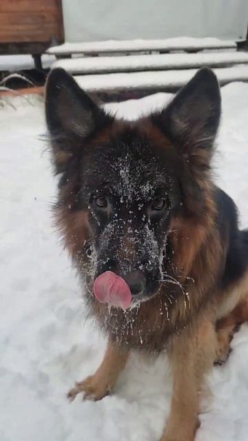 Моя бубочка 🥰