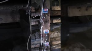 Брудер для цыплят 1000штук