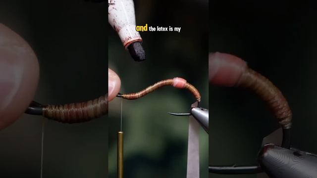 Earthworm Fly!