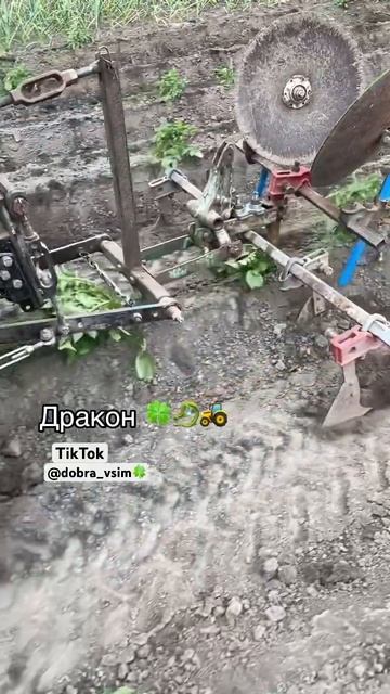 Мини Трактор в работе ⚡️🚜🍀#traktor #плоскорез#окучник #potato #machine #трьохточка #agriculture