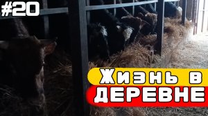 #20 Жизнь в Деревне 🏡 | Деревенский БЛОГ | День деревенского школьника👨🌾.