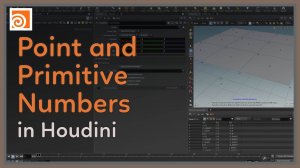 12 Point and Primitive Numbers in Houdini