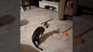 У нее внутре неонка