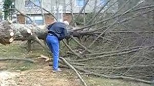 BOB CLEANING UP YARD