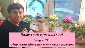 Болталка про Фиалки! Выпуск 57: Обзор нашего Цветущего подоконника с Фиалками!