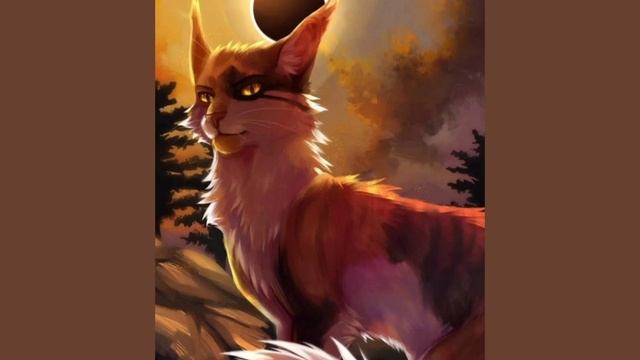 Коты-Воители. Сол: история загадочного бродяги.