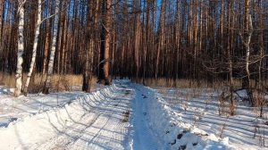 Покатушки на снегоходах и не только