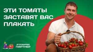 ЭТИ ТОМАТЫ ДОЛЖНЫ БЫТЬ В КАЖДОЙ ТЕПЛИЦЕ | ТОП черри и биф-томатов