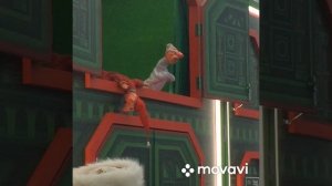 Кукольное представление на ВДНХ 01.02.2025 г. Москва.