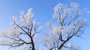 СПОКОЙНАЯ МУЗЫКА ПОД ЗИМНИЙ ПЕЙЗАЖ 4К