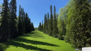 Прогулка по парку Ораниенбаум