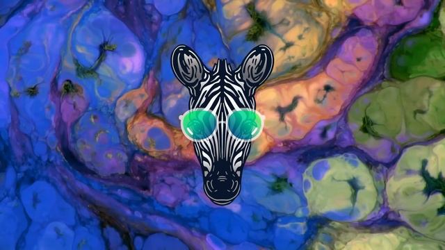 Peak Focus Melodic House (Zebra Mix) with Beta Wave Isochronic Tones смотреть онлайн