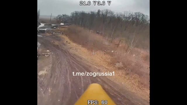 1000000524.mp4 смотреть онлайн