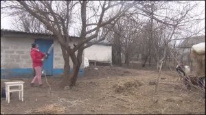 Жизнь в деревне.  Рабочие будни