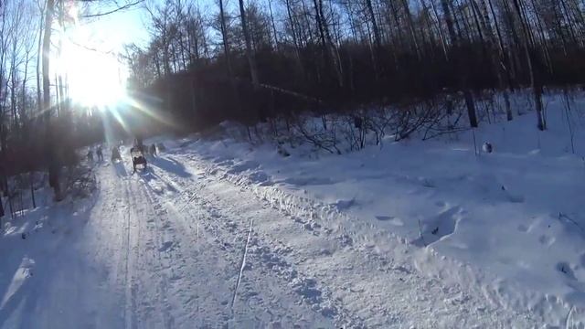 Хапсоль 01.02.25