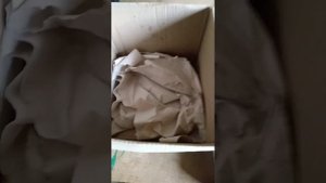 Как упаковать рассаду клубники для отправки по почте?