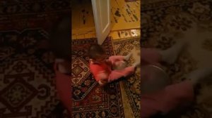 песня слепого ребенка