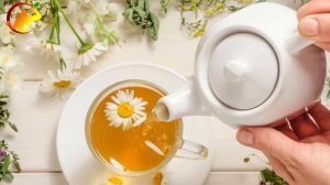 Вред Ромашки! Кому Нельзя Употреблять Ромашку? Что Творит Ромашковый Чай