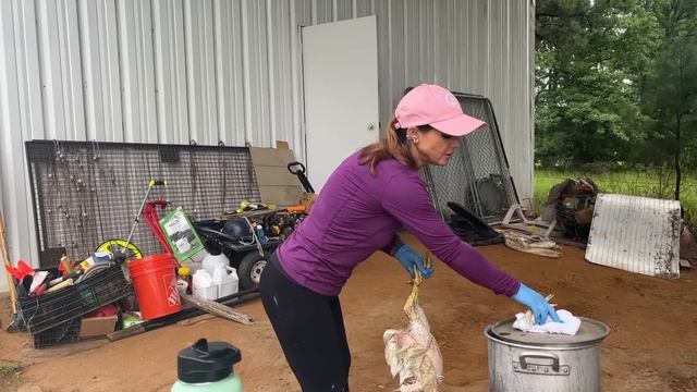 Putting Our Pasture Raised Meat Chickens In The Freezer! #growingfood #chickens #meat
