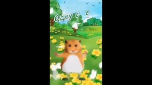 Хомяк танцует 1 час