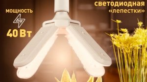 Фитолампа