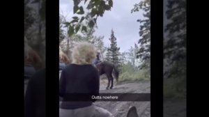 1000020979.mp4