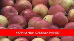 #КРИКДУШИ САМИДА ГАРАЕВА