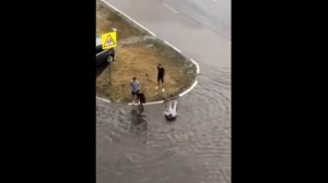 Купаются в Луже. Прикол.